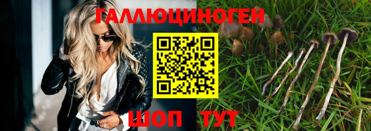Галлюциногенные грибы мицелий Новочебоксарск